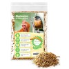 JOR High-Protein Mealworms for Poultry and Birds, Favorite Treat of