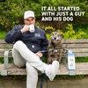 STELLA BLUE Fresh Whole Bean Coffee | Big Cat Blend