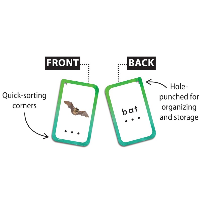 Teacher Created Resources Decoding CVC Words Flash Cards (EP62057), Medium