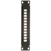 Delock 10 Inch Fibre Optic Patch Panel 12 Port for
