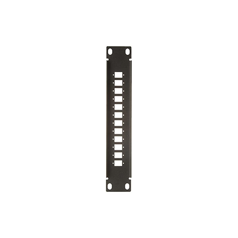 Delock 10 Inch Fibre Optic Patch Panel 12 Port for