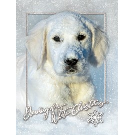 Team Husar Dreaming of a White Christmas Dog Premium Holiday 15 Cards, 16 White Envelopes