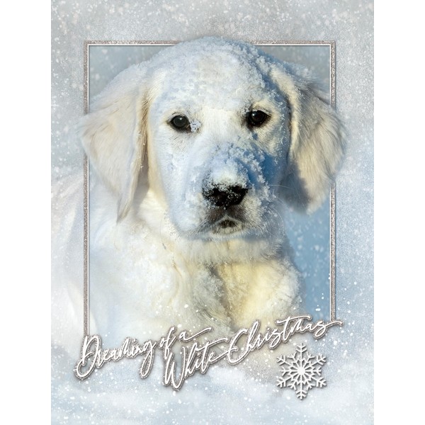 Team Husar Dreaming of a White Christmas Dog Premium Holiday