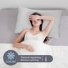 LINENOVA 100% Bamboo Pillowcase King Size Set of 2 -