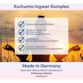 plantomol 120 Kurkuma Ingwer Kapseln hochdosiert mit Gerstengras & Piperin - Kurkuma Kapseln hochdosiert mit Curcuma Extrakt & Curcumin - 4 Monatsvorrat