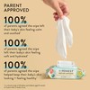The Honest Company Plant-Based Snot Removing Wipes | Soothing Nose
