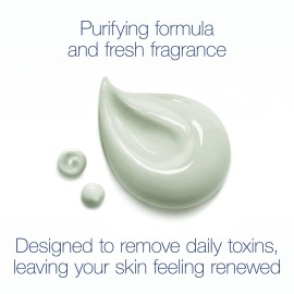 Dove Purifying Detox Body Wash 22Oz Pack Of 4 Renews Moisturizes Skin