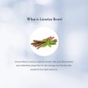 Dr.Althea [Dr.Althea]Herb Therapy Velvet Mask (10ea)
