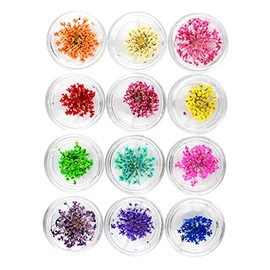 FOMIYES Nail Art Stickers Pack Dried Flowers d Nail Art Tips for DIY Decorations