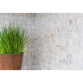 MOS150-SM2525 Mother of Pearl Mosaic Shell Mosaic White Beige Shower Screen