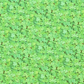 Shamrock green clovers fabric, 100% cotton, USA fabric, Elizabeth's Studio, leaves foliage themed, great for St Patrick's Day (per 0.5 yard)