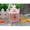 Musuntas 50-Piece Birdcage Design Wedding Christening Guest Gift Box Cardboard