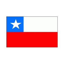 Chile Flag (L8)