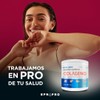 Colágeno Hidrolizado Puro 10g por Toma - con Vitamina C,