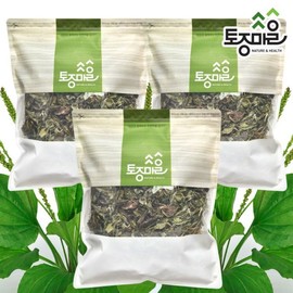 Tojong Maeul 국산 질경이(차전초) 300g X 3개 Korean Plantago (Plantago asiatica) 300g X 3 pcs