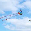 Kaiciuss Kaiciuss Butterfly Kite for Kids & Adults Easy to