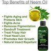 Sheltr Sheltr Neem Oil for Skin Treatment Hair Oil (100