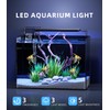 5 Gallon Fish Tank Aquarium Kit with Filter, LED Light