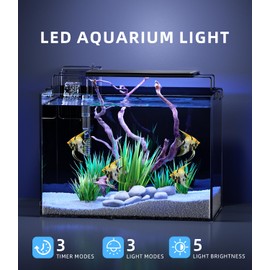 5 Gallon Fish Tank Aquarium Kit with Filter, LED Light with Timer, Siphon Vacuum Cleaner, Lid, Self-Cleaning Glass Rimless Betta Tank