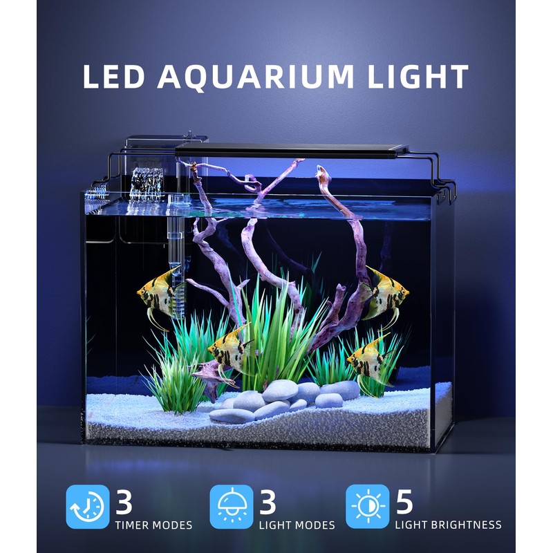5 Gallon Fish Tank Aquarium Kit with Filter, LED Light