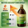 iMatchme 500ML Premium Soursop Bitters Liquid –15-Herb Immune Support |