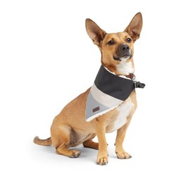 Reddy Grey Stripe Dog Bandana, X-Small/Small