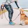 Tresbro (Improved Model) Long Lead, Round Rope, Dog Leash, 39.1