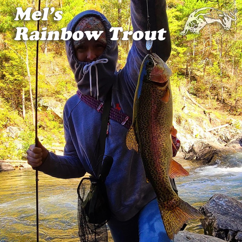 Panther Martin PMHMHS Scented Hammered Fishing Lures Catches Trout, Walleye,