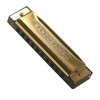 Randon Golden Harmonica Key of C with Case, 10 Holes