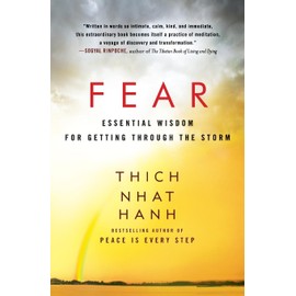 Fear: A Powerful Guide to Overcoming Uncertainties and Personal Terrors, and Finding Peace and Freedom from Anxiety, by Zen Master Thich Nhat Hanh