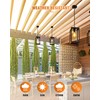 Beionxii Outdoor Pendant Light, Modern Exterior Hanging Porch Lantern, Black