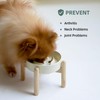 Havniva 6.1inch Ceramic Raised Dog Slow Feeder Set, Elevated Bowl