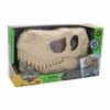 Wild Quest Dino Head Container