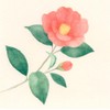 Nubby Envelope Winter Collection Winter Flowers | Pack of 5