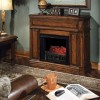 Unbranded 1500W 120V Electric Fireplace Log Insert Heater With Remote
