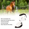 Horse Fetlock Boots Impact Resistant Breathable Horse Hind Leg Boots