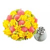 Nifty Nozzles Mini Russian 13 pc Piping Tip Set, Sugar
