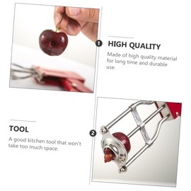 LABRIMP Stainless Steel Fruit Corer Tool Portable Core Remover for Easy Removal of Pits and Seeds Lightweight Kitchen Gadget for Home Use Easy to Clean and Store
