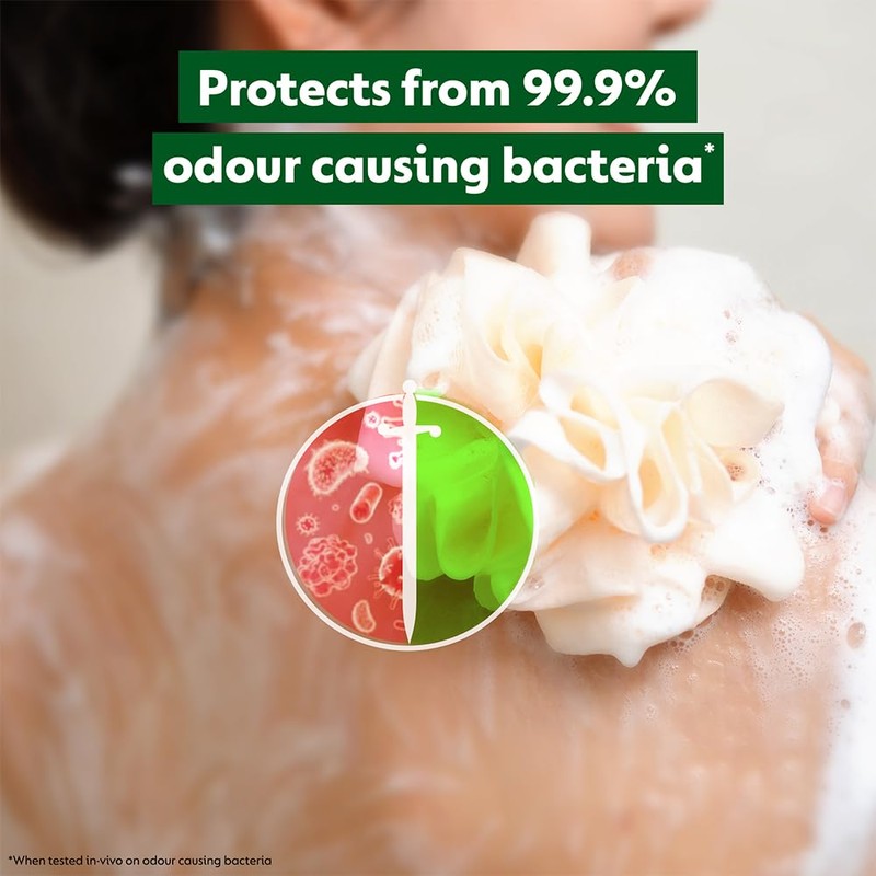 Dettol Body Wash and Shower Gel | Lime Fresh |