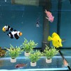 POPETPOP Pack of 5 Aquarium Ring Aquatic Plants, Ceramic Water