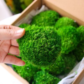 1.5 Sq. Ft. Preserved Moss Pole Decorative Moss for Crafts, Art, Wall Decor,Dark Green