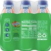 Snapple Kiwi Strawberry All Natural Juice Drink Gluten Free 100%