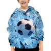 HaniLav 3D Print Hoodies for Teen Boys Girls Kids Graphic