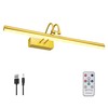 RAIFOOLLY Picture Light,16in Wireless Battery Wall Lighting,Remote Art Lights for