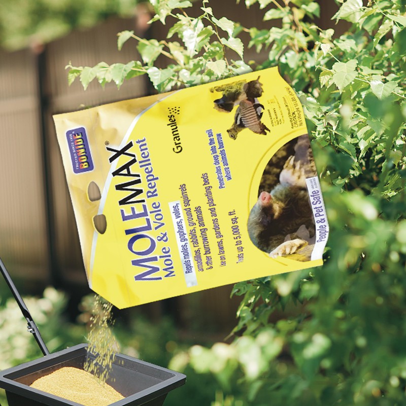 Bonide MOLEMAX Mole & Vole Repellent Granules, 10 lbs. Ready-to-Use,