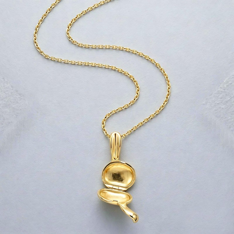 YOUFENG Bunny Locket Platinum 14K Gold-Filled Rabbit Lockets that Hold