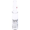 Euphorbium Composite SN Ampoules Pack of 10