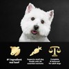 CESAR Small Breed Dry Dog Food Filet Mignon Flavor 5