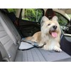 TinyPaw Dog Seat Belt Car safety Harness Restraint, Durable with