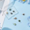 Hobbspring Pack of 8 Abalone Shell Charms, 4 Styles, Paua